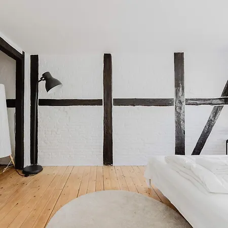 Gothersgade Center Stylish Daire Kopenhag